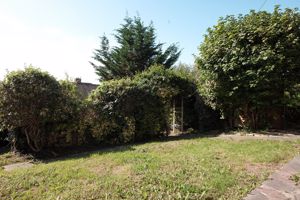 Garden- click for photo gallery